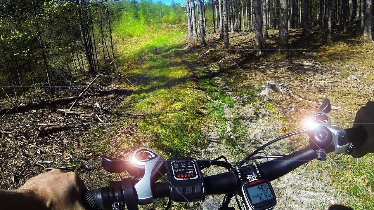 Waldradeln: Wurzeltrails, Kirchseeon