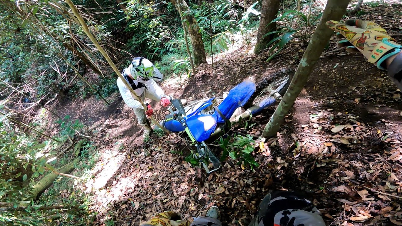 More Forestry Hill Climb Fun