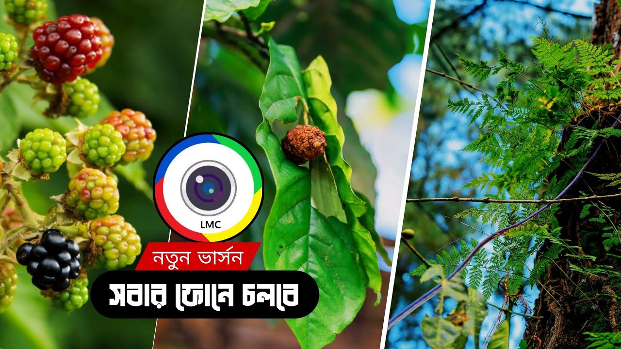 নতুন lmc camera 2025 | সবার ফোনে চলবে