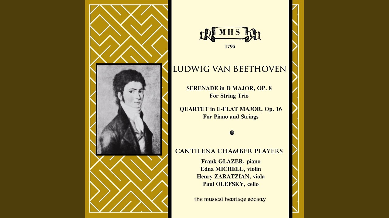 Serenade in D Major, Op. 8: VI. Tema con variazioni