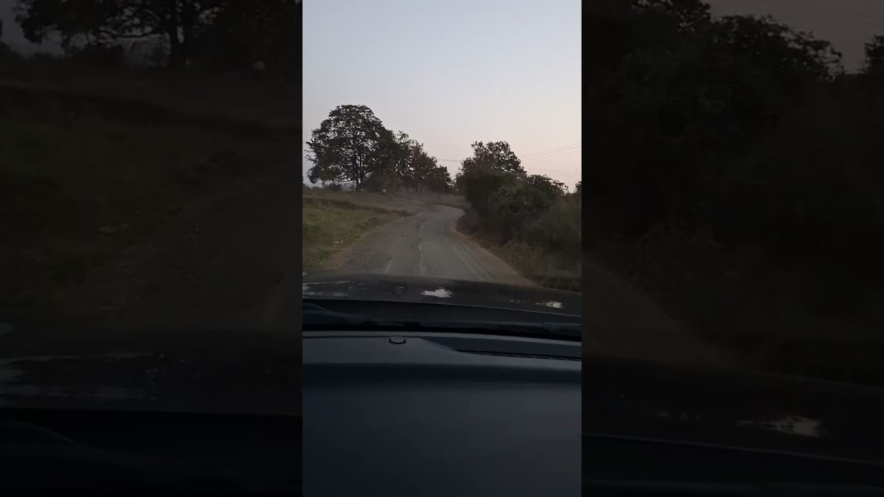 Drive in the jungle 😲 😱 