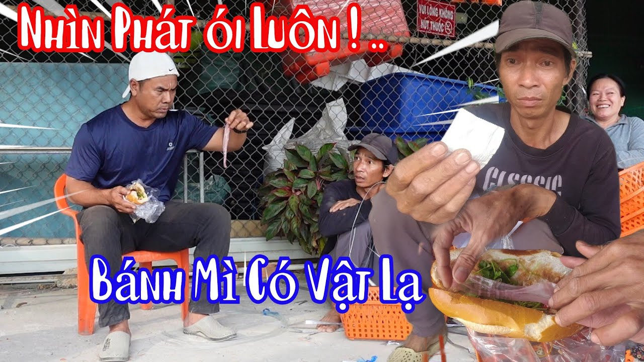 Bà 8 Phong Không Troll Thì Thôi Đả Troll Thì 10 Râu Phải Khóc