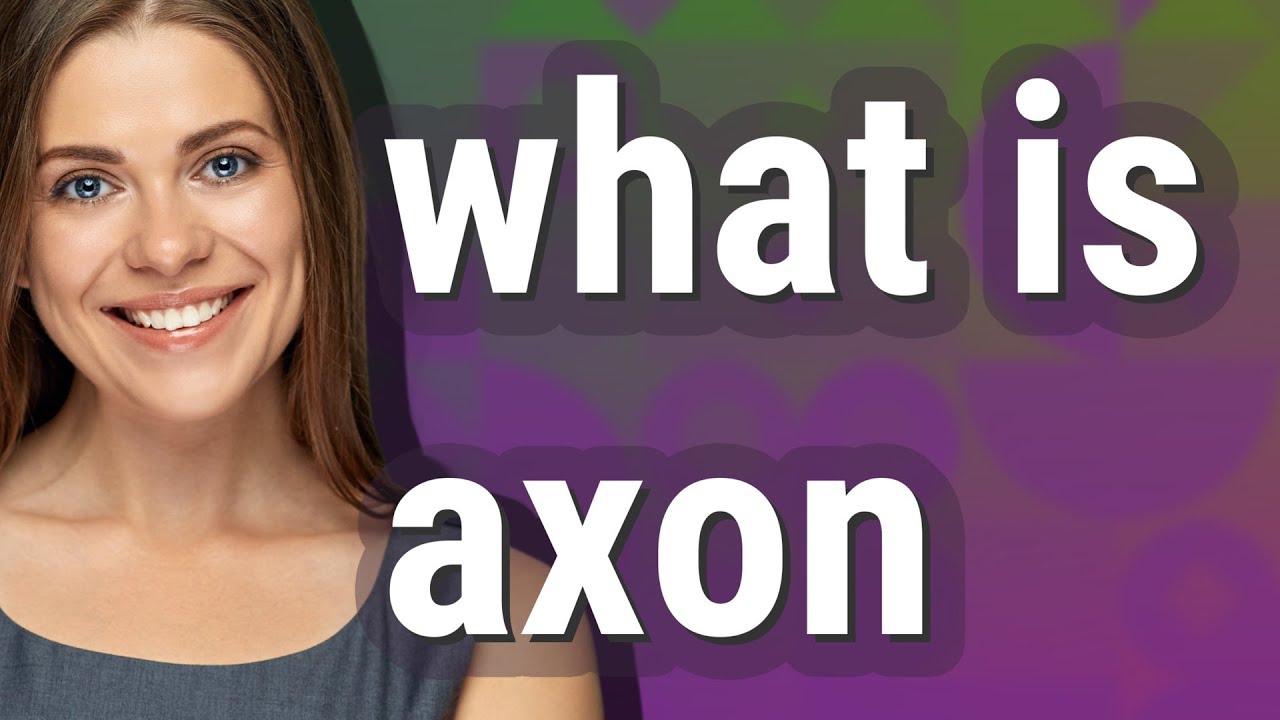 Axon | meaning of Axon