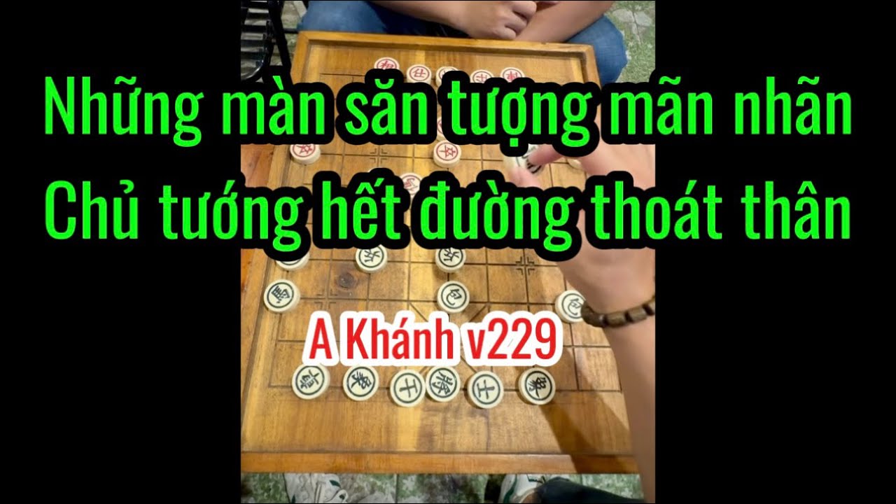 Những màn săn tượng mãn nhãn chủ tướng hết đường thoát thân 