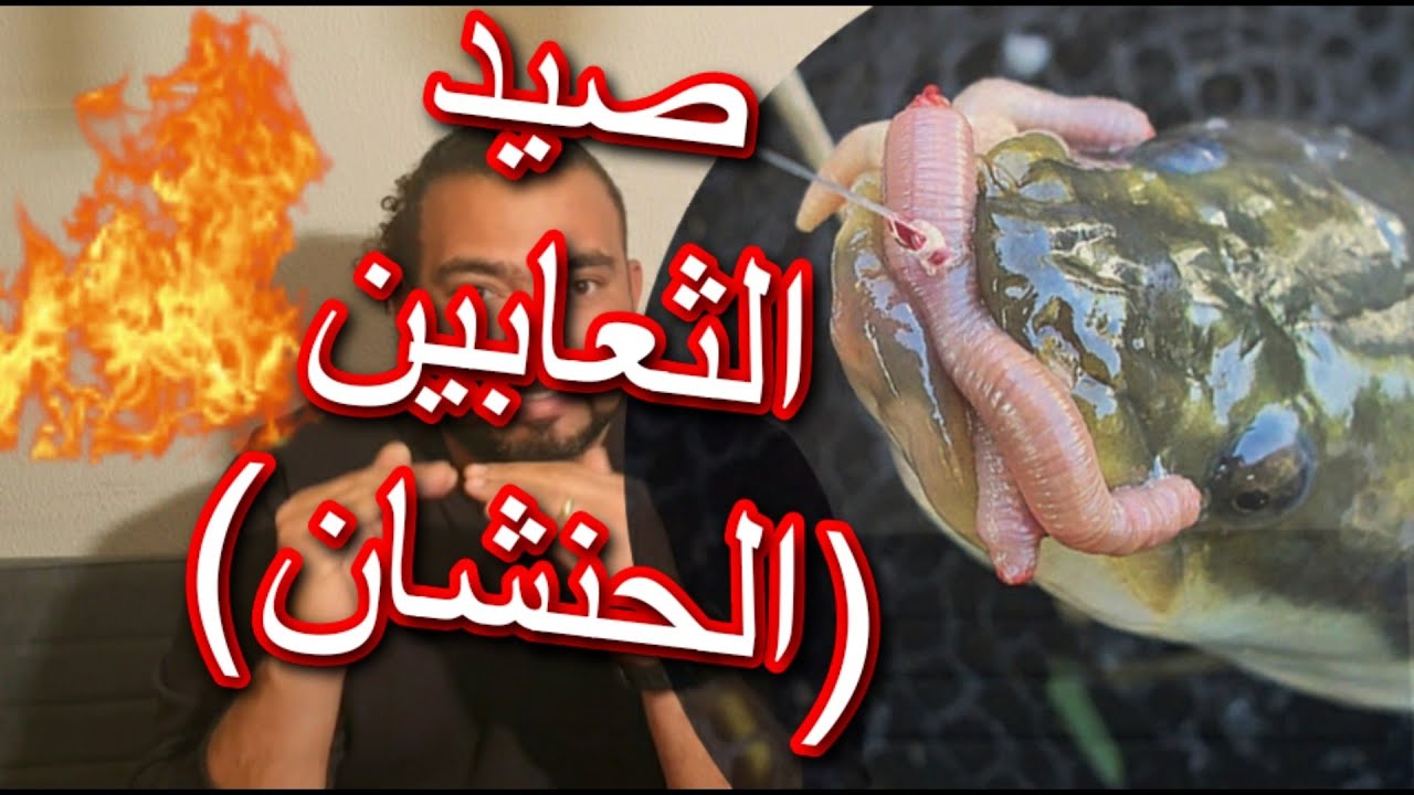 ازاى اصطاد اسماك الثعابين(الحنشان)؟؟(نيلى النهرى البحرى)