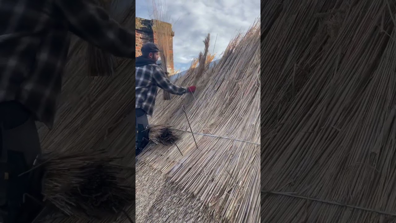 New thatch process 👌🏼 #thethatchingguy #thatch #2023 #youtubeshorts #shorts #new #viral #trending