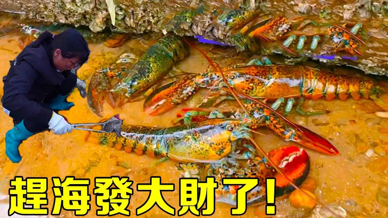 【猛貨合集】小漁和閨蜜在島上趕海比賽，幾分鐘兩人就爆桶了，這下發大財了！ 【漁小仙】