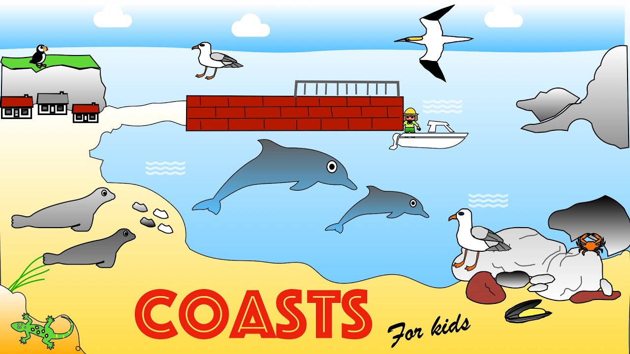 Coastal Habitats for Kids| Facts and Quiz | The seaside