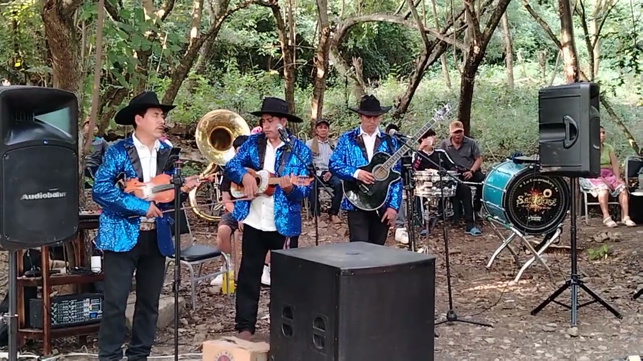 Creando contenido con Trío huapaguero de Tlanchinol Hidalgo, música para enamorados, fiesta, comida