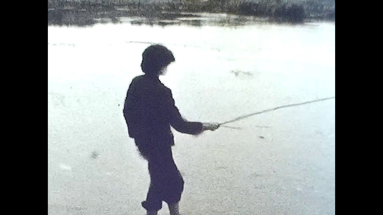 Село Шестаково. Воронежская область. 1978 год.