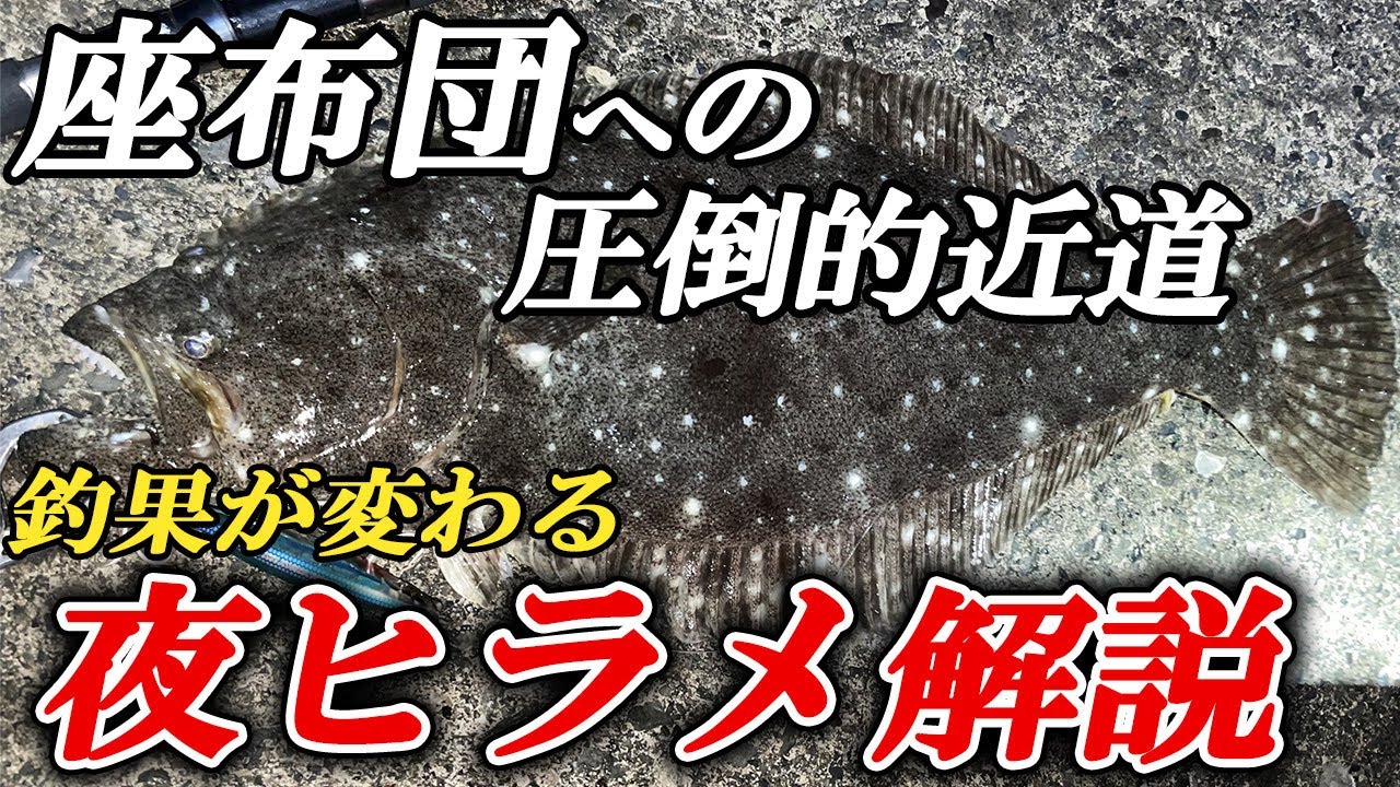 【釣果を大きく変える】夜のヒラメ釣りで超重要なルアー選びや狙い方のコツを徹底解説