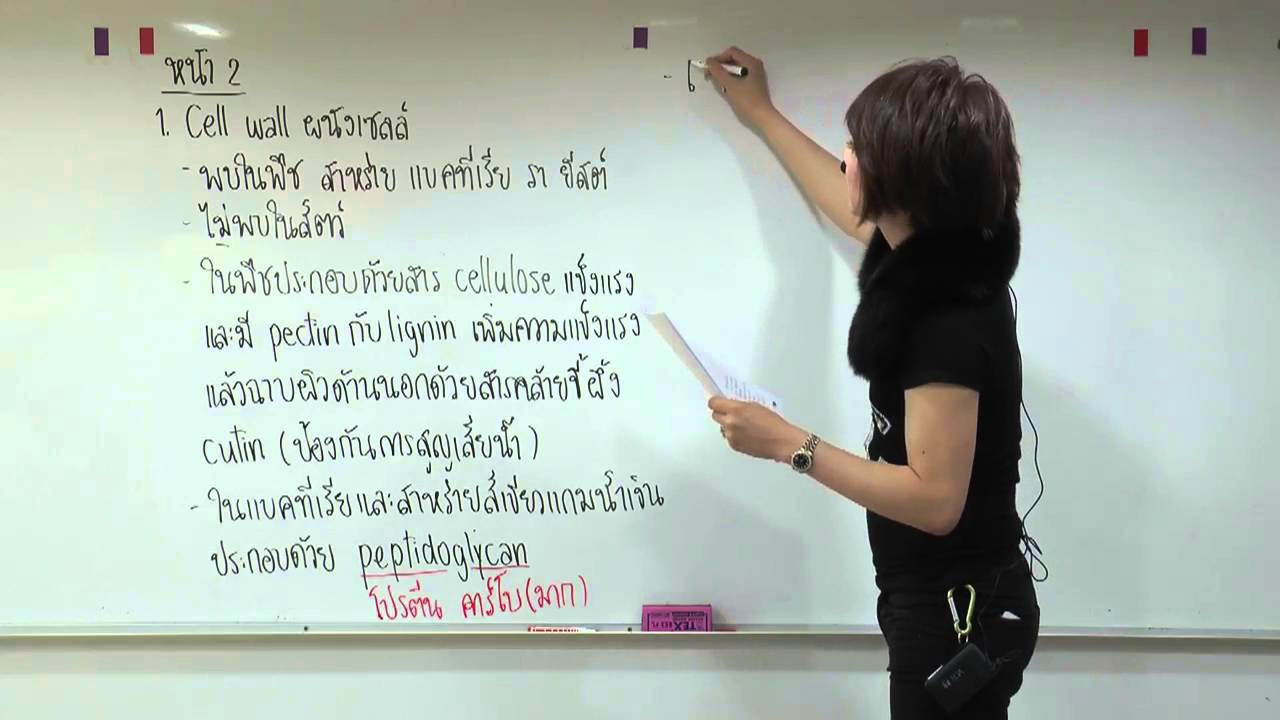 Sci 1A ชีววิทยาพืช อ.บิ๊ก A.BIG CENTER