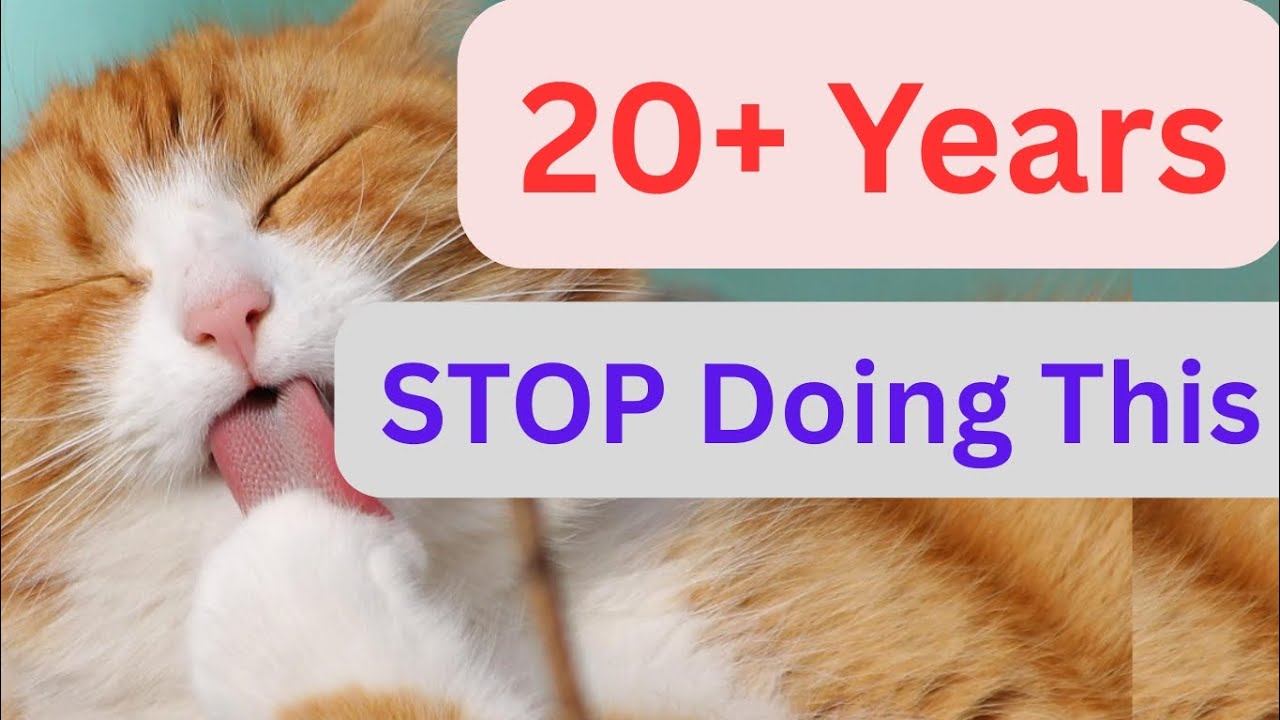 How to Help Your Cat Live Longer! 🐈⏳ (5 Longevity Secrets)