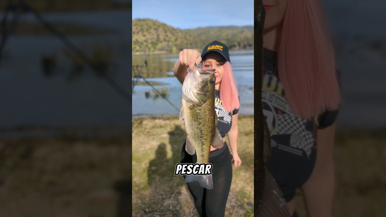 Freza black bass #blackbass #blackbassfishing #pesca #fishing #carpfishing