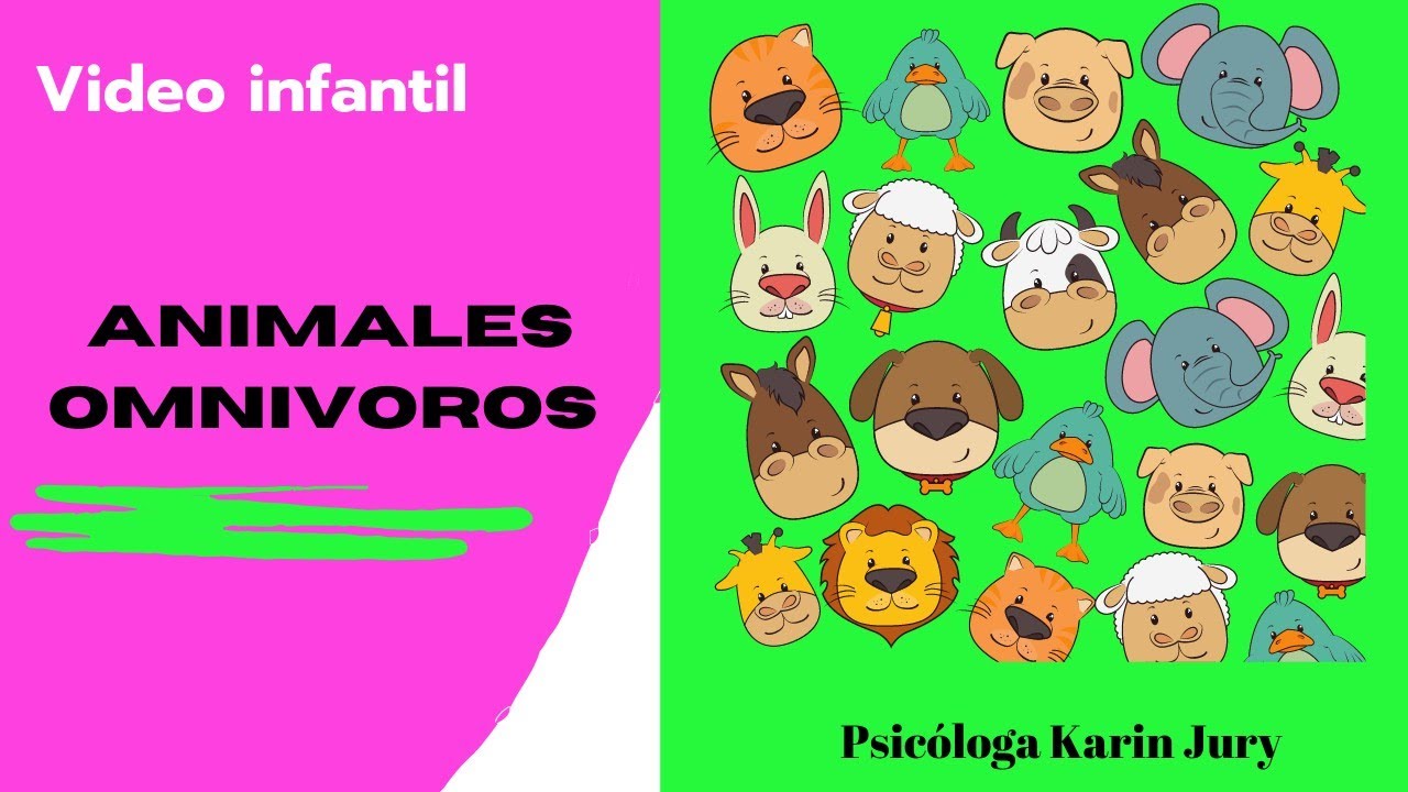 Animales Omnivoros