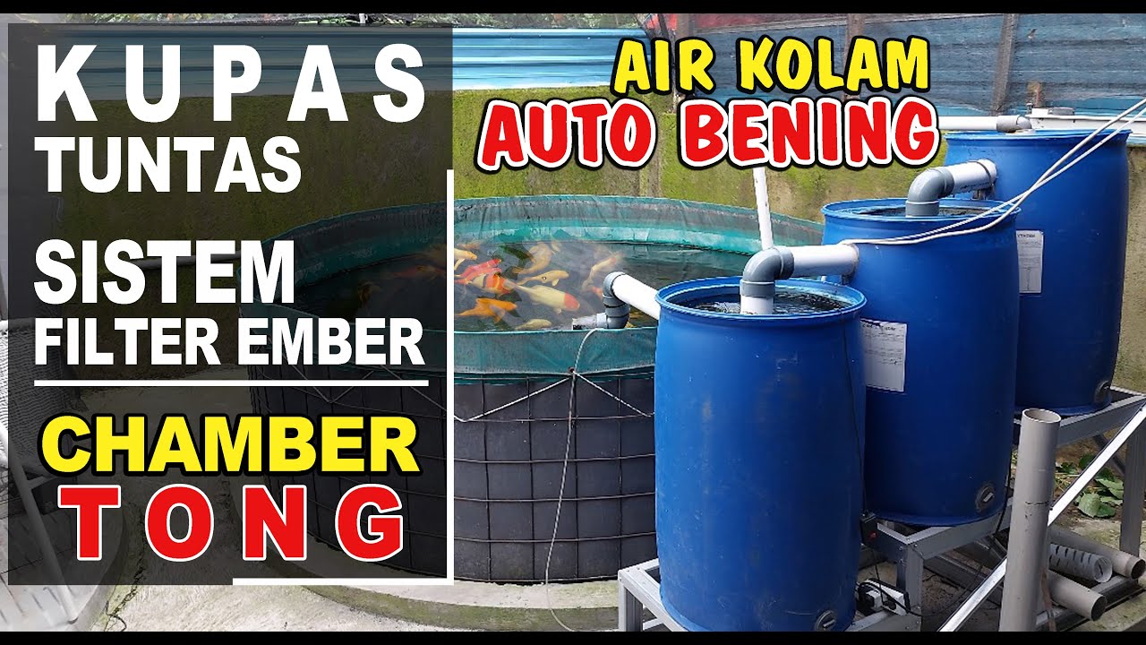 FILTER EMBER KOLAM KOI‼️Air Kolam Outo Jernih⁉️