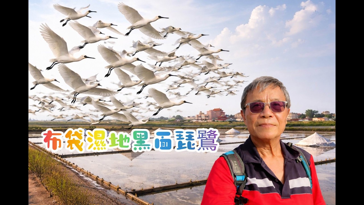 布袋濕地黑面琵鷺2026/3/12(星期四)(附歌詞)