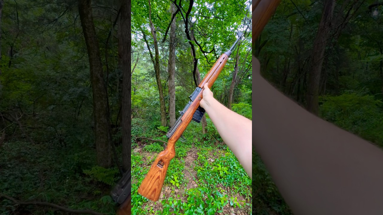 WWII Gewehr 43