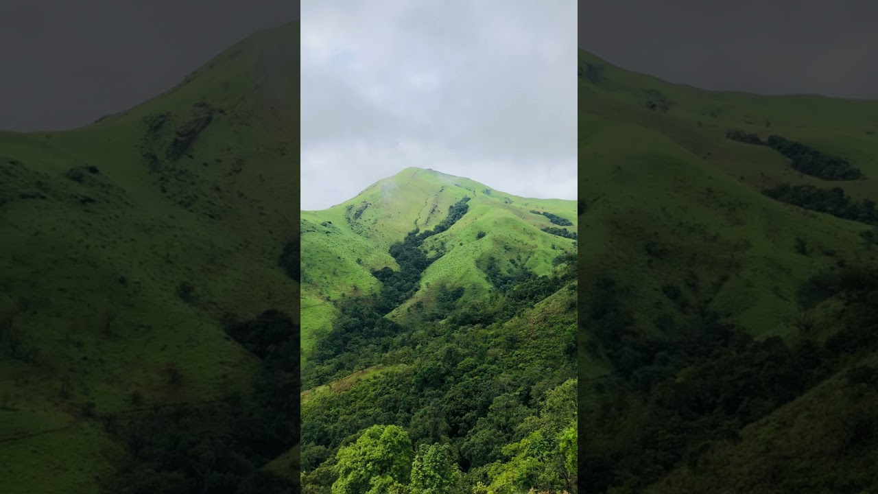 #nethravathi #palanitourism #mountains #kerala #wildlife #wildlife