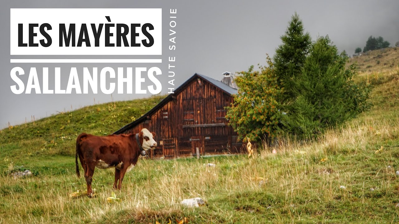 Les Mayères des de Burzier - Corresendes XRS