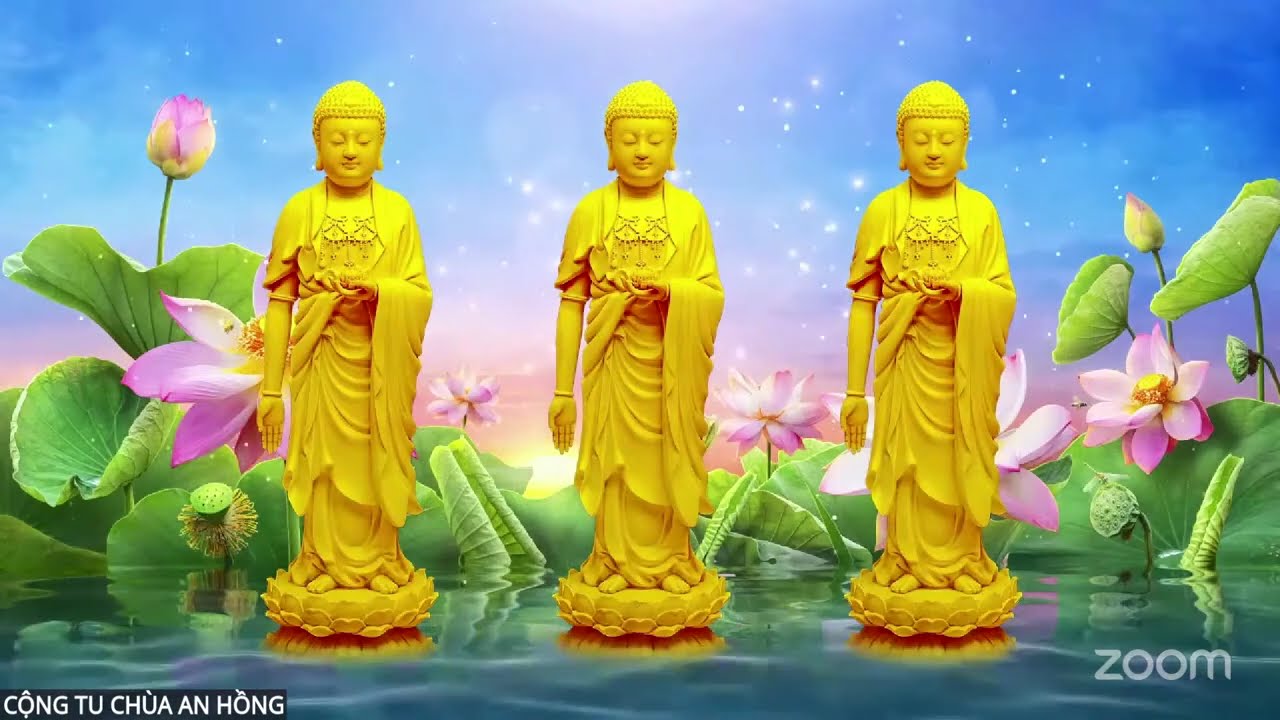 2 CỘNG TU ĐẦU NĂM TẠI CHÙA AN HỒNG -HẢI PHÒNG chiều 1/3/2026