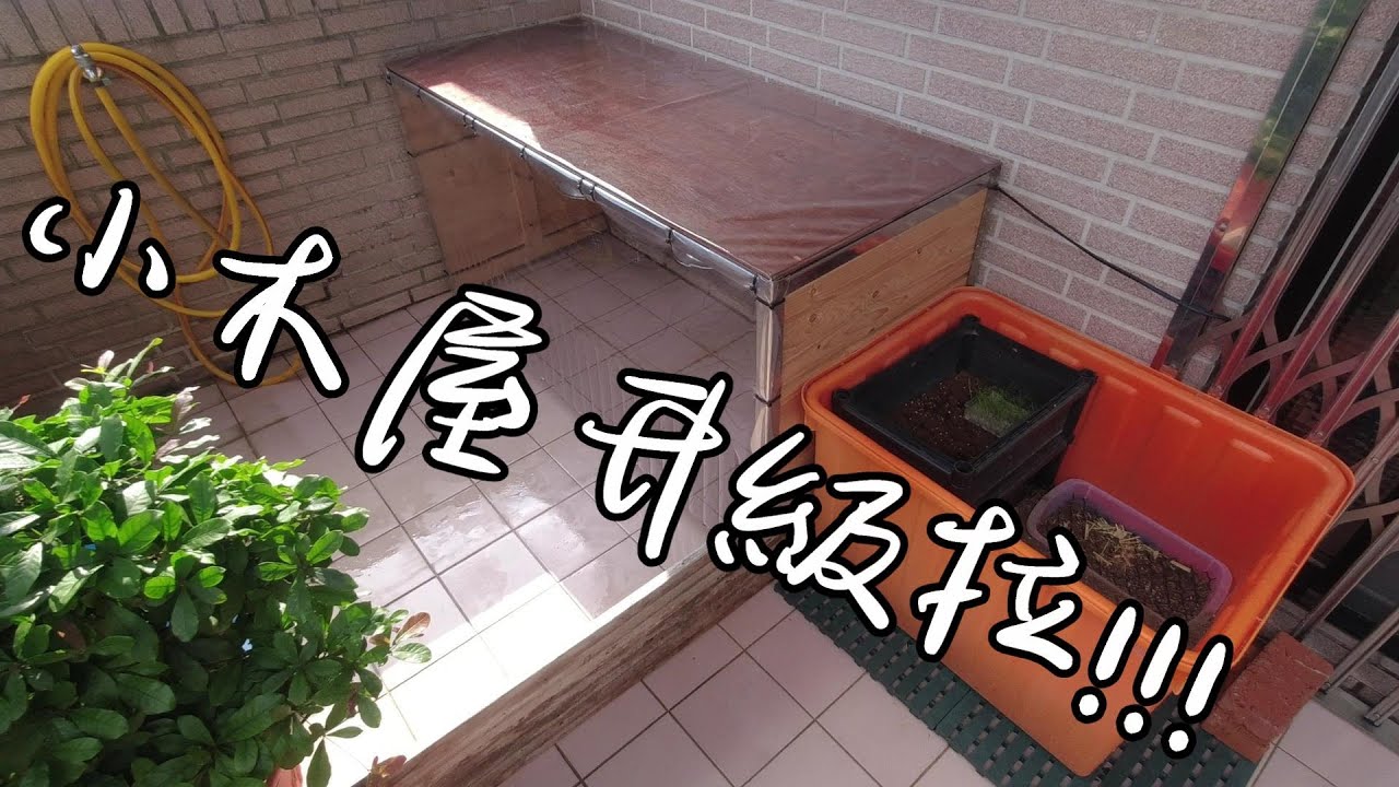 小木屋升級成大木屋!!【九桃分享養爬蟲-《Reptiles》】