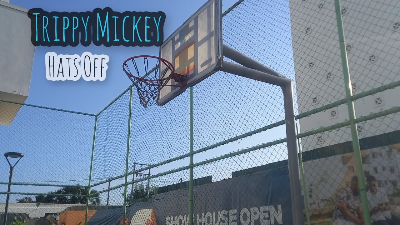 Trippy Mickey _. Hats Off _. VISUALIZER  OFFICIAL VIDEO