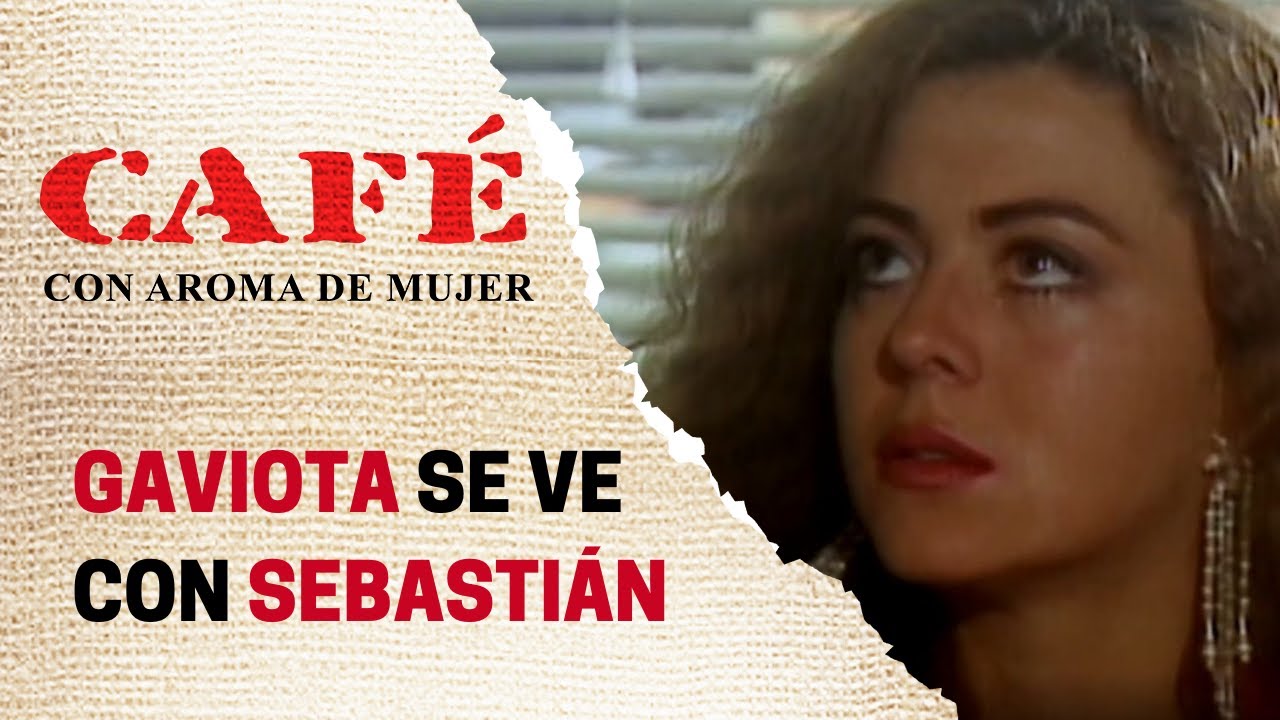 Gaviota y Sebastián se reencuentran | Café, con Aroma de Mujer