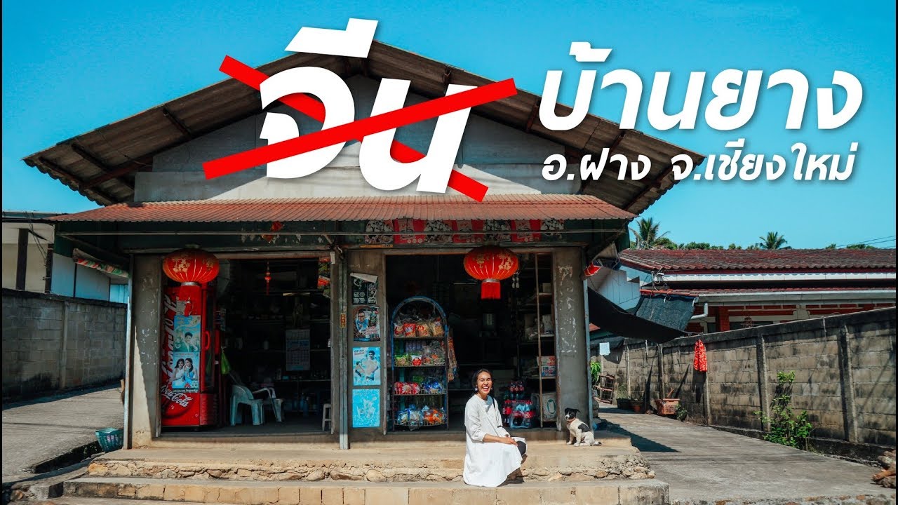 เที่ยวเชียงใหม่ อ.ฝาง EP9 เหมือนอยู่เมืองจีน ชุมชนคนจีนยูนนาน บ้านยาง จ.เชียงใหม่ - Mai diary
