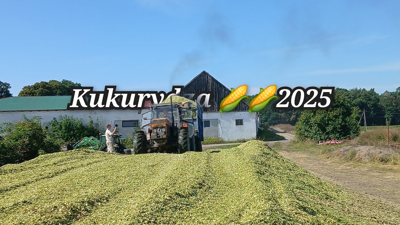 2 filmik z kukurydzy 🌽🌽🌽u @antoni_na_roli  ogień w szopie 