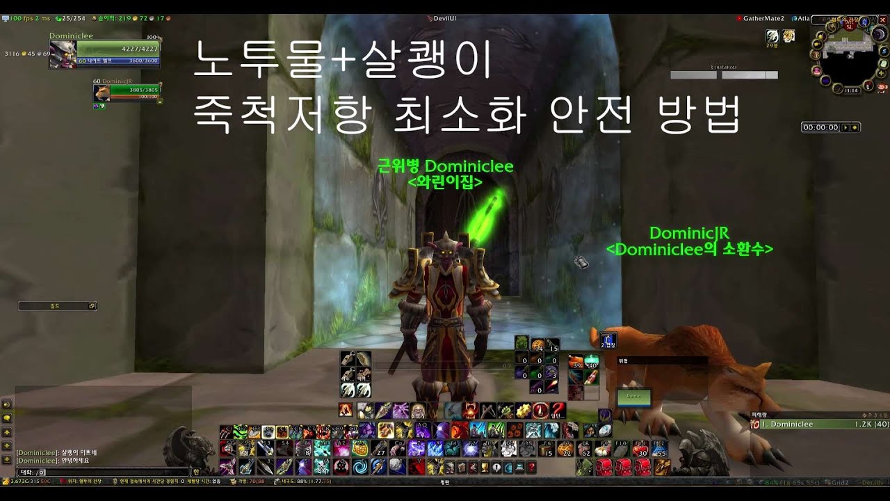 [와우 클래식] 혈장 북던 투물 없이 살쾡이로 안전하게 도는 방법!