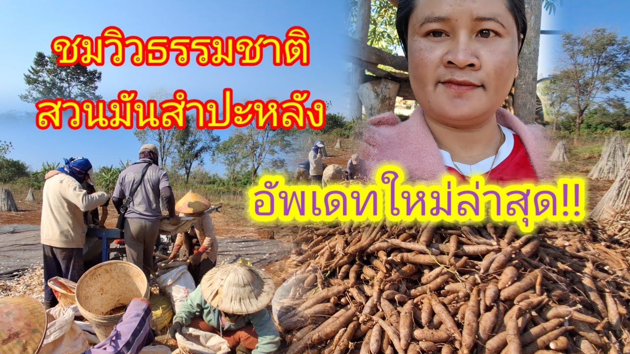 อัพเดทใหม่ล่าสุดครั้งที่ 17มกราคม2026ฝากกดติดตามด้วยนะ