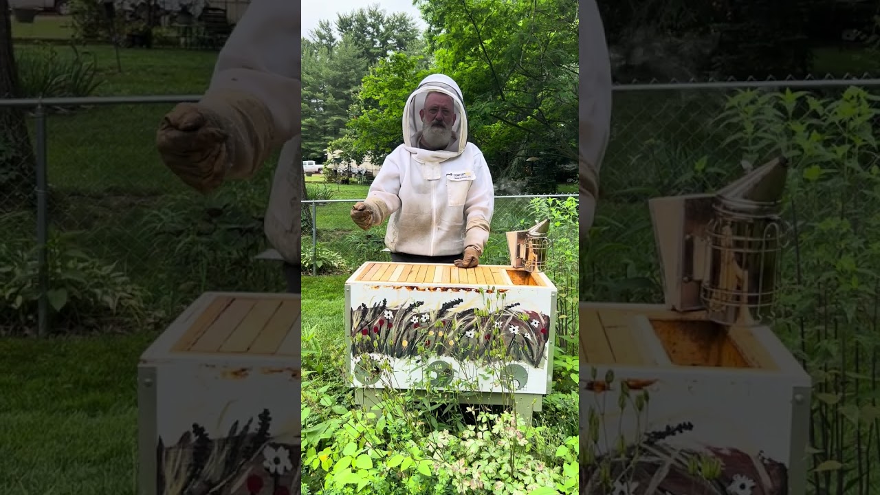 Wonder How to Add Frames to a Layens Hive in June?