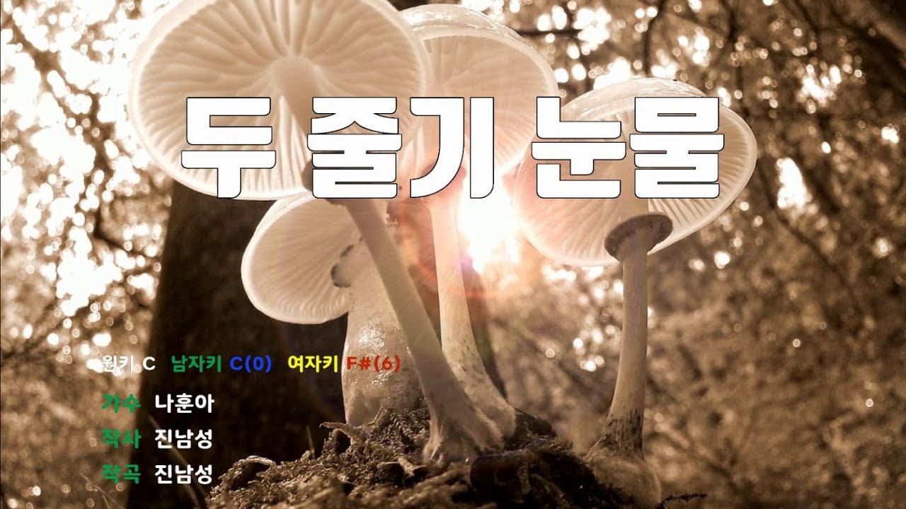 [은성 반주기] 두줄기눈물 - 나훈아
