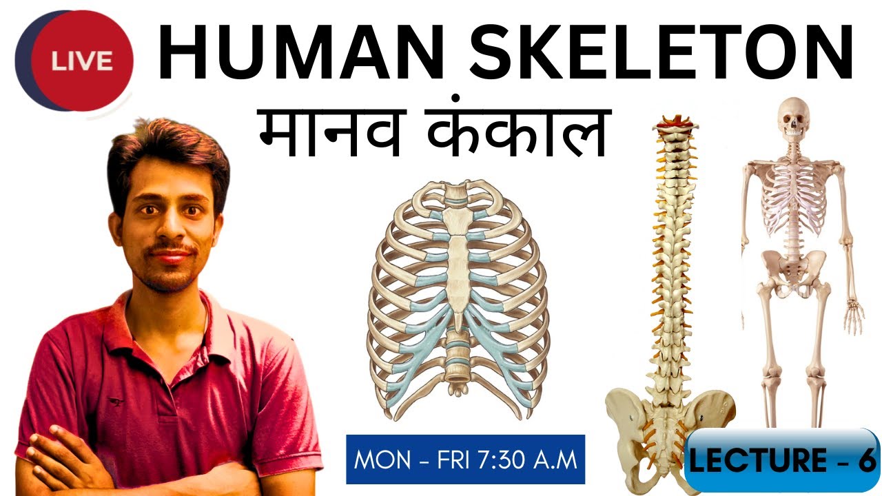 Human Skeleton System LIVE | मानव कंकाल तंत्र Complete Class | Dr Krishna Sir  Anatomy Lecture 6