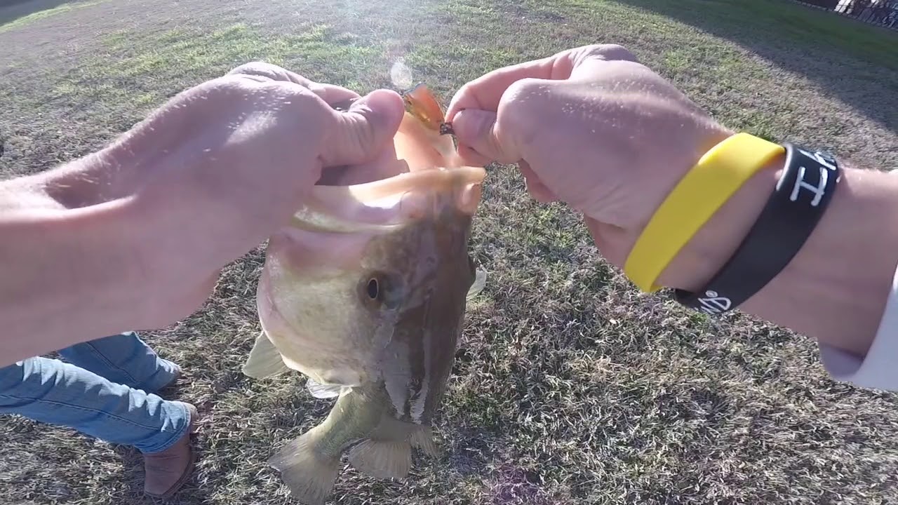 6th sense 70 quake thud