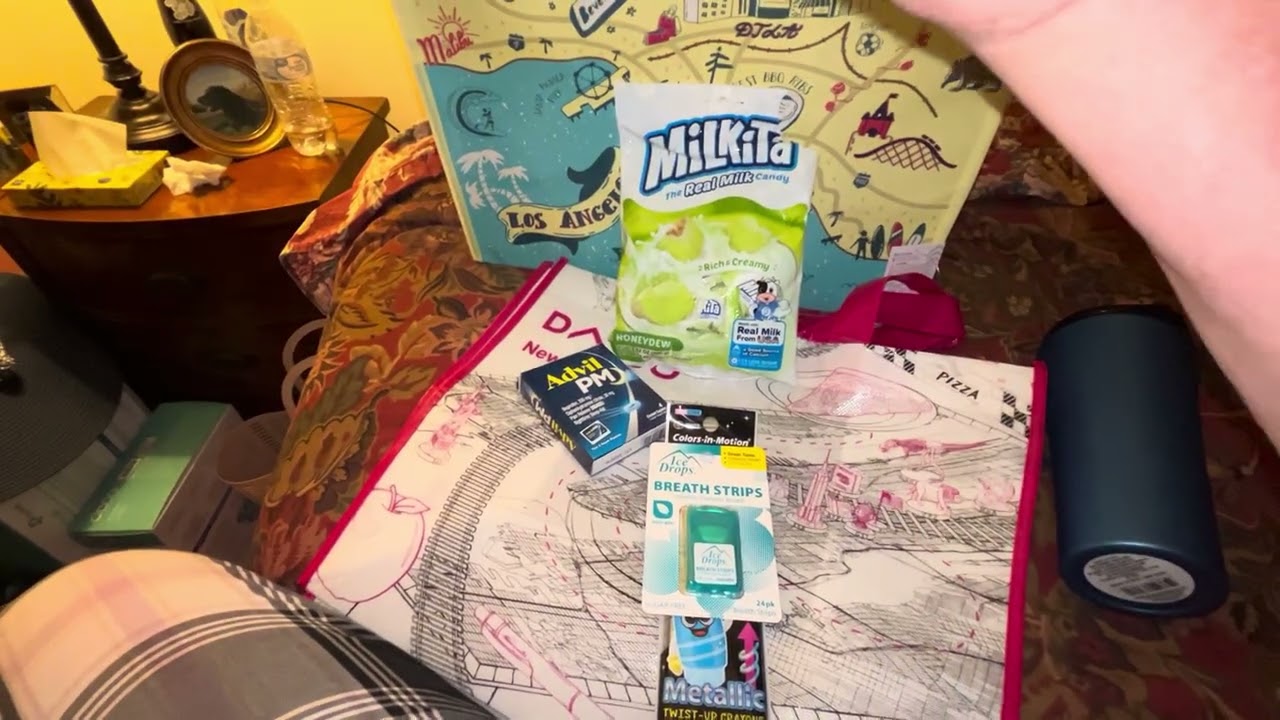 Early Morning Daiso & Dollar 🌲 Tree Haul-California 