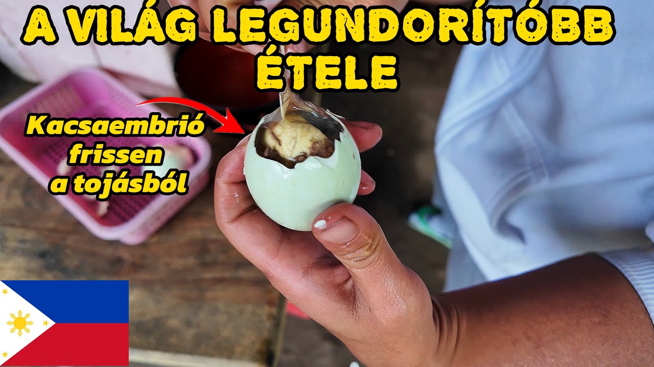 A F&Uuml;L&Ouml;P-SZIGETEK JOBB MINT THAIF&Ouml;LD? 🇵🇭