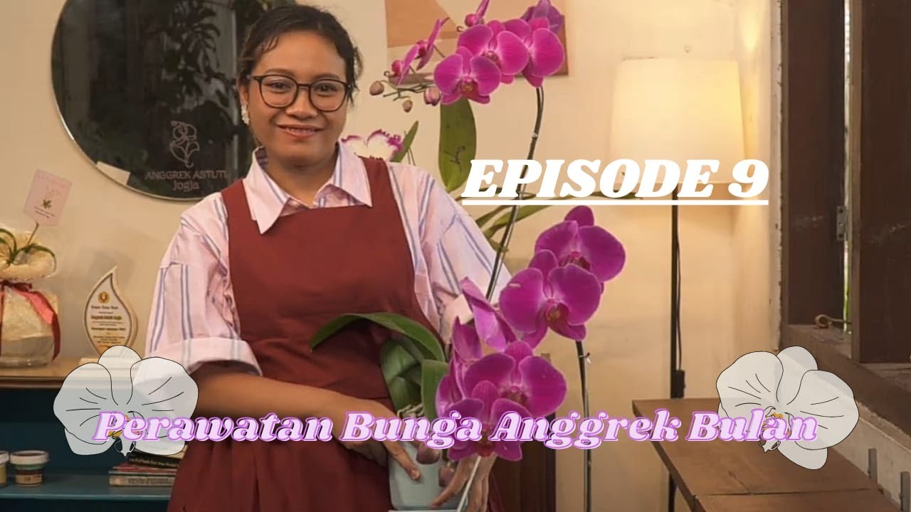 Cara Merawat Bunga Anggrek Bulan!
