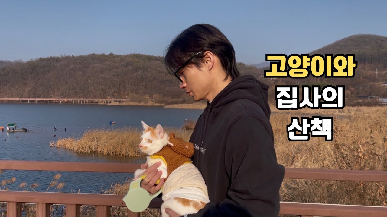 고양이가 겨울에 산책을 한다면? (sub)롯데 타임빌라스, 백운호수 방문기 What if a cat goes for a walk in winter? A visit to Lotte