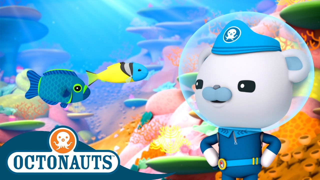 Octonauts - Damsel Fish & The Jawfish | Cartoons for Kids | Underwater Sea Education