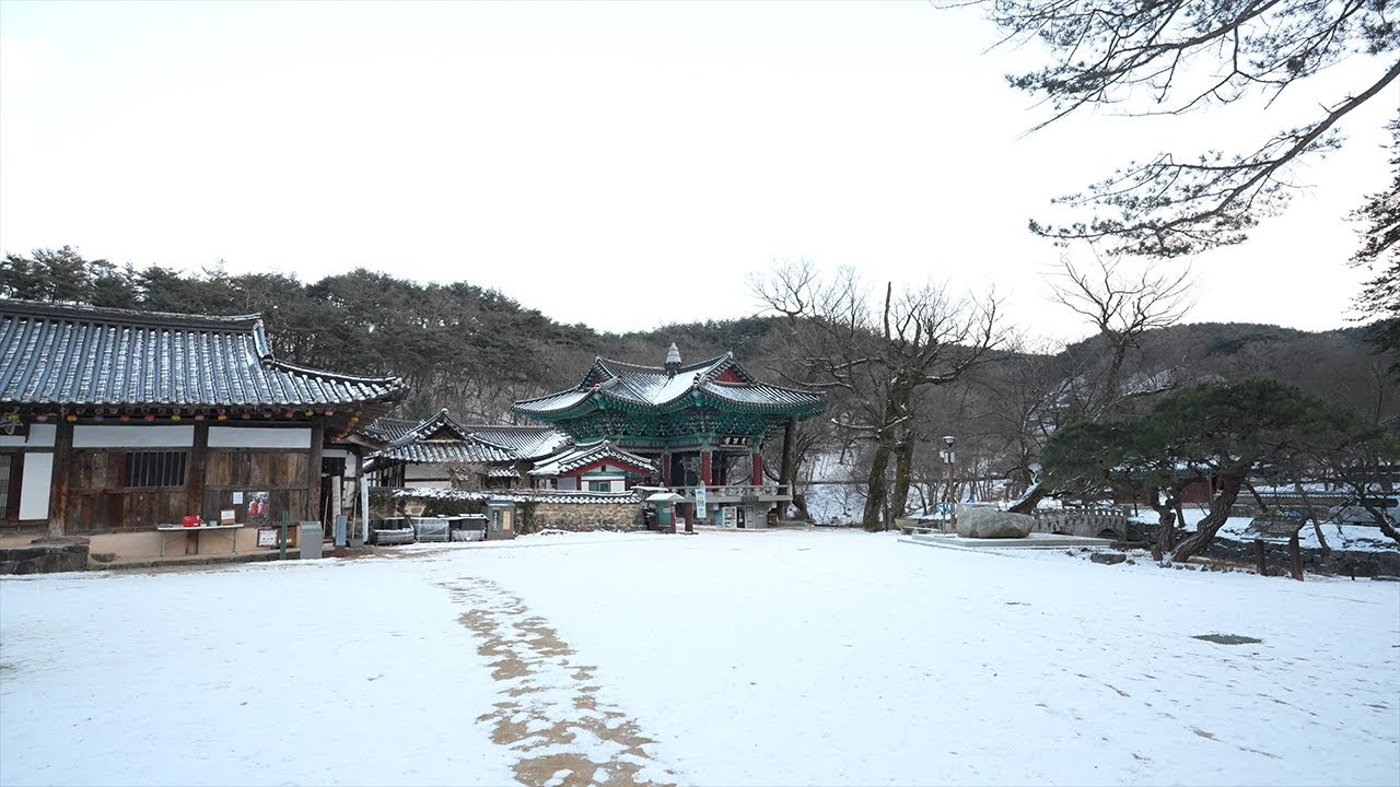 공주 마곡사 겨울 힐링 산책❄️ | 눈 내린 산사의 고요한 시간 | Gongju Magoksa Temple | A Winter Healing Walk❄️
