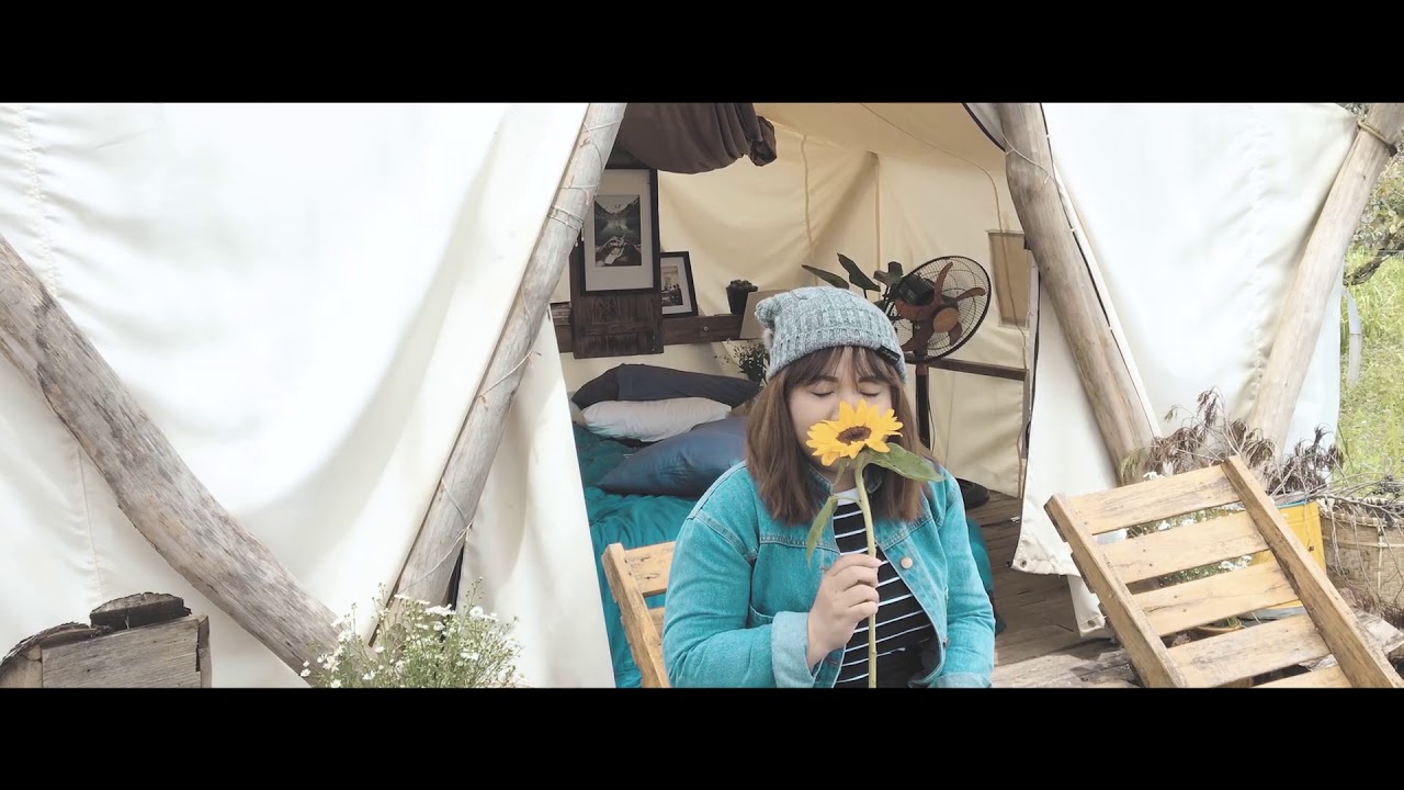 DL2017