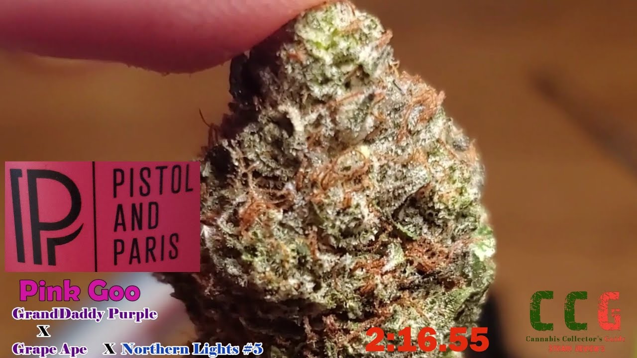 Pistol & Paris - Pink Goo - OCS - 5 Min Review 