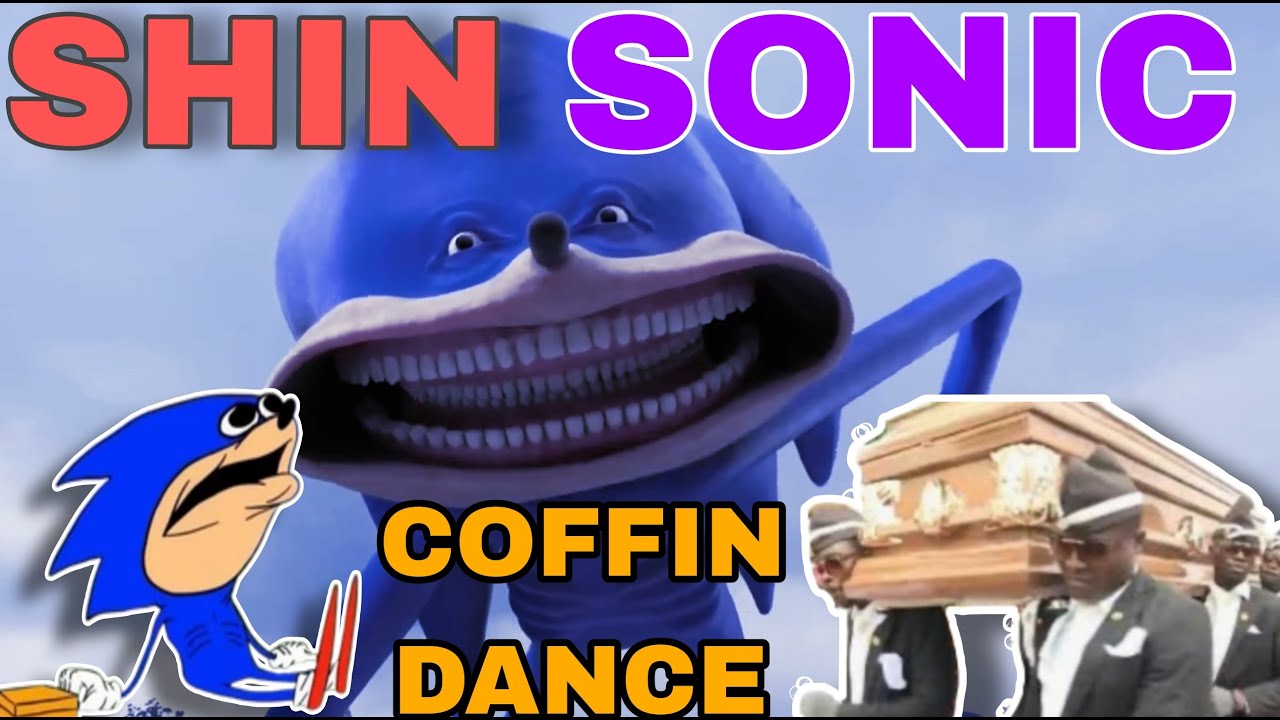 Shin Sonic Tapes: Horror Skunx - Coffin Dance Song (COVER) 