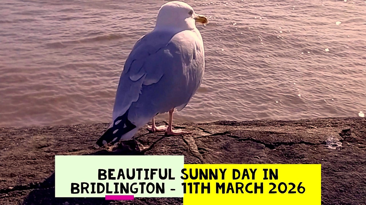 Beautiful sunny day in Bridlington  - 11th March 2026