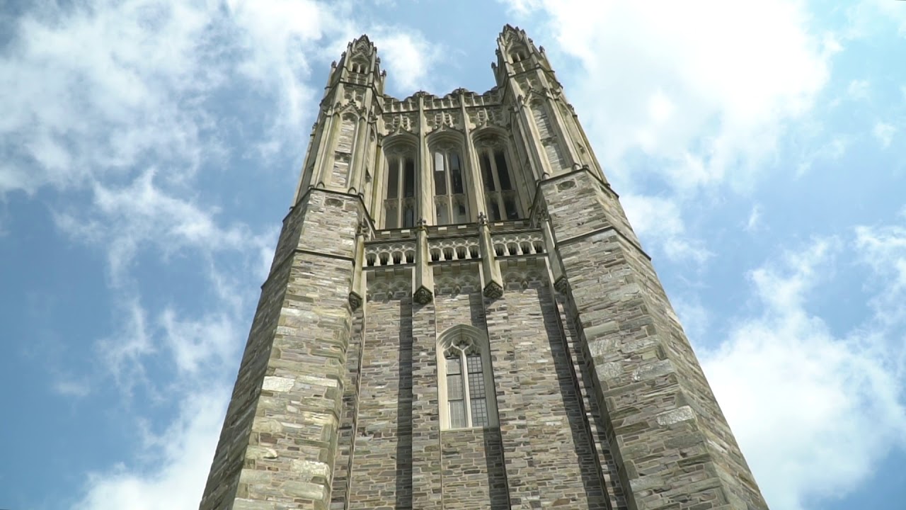 Princeton Summer Beauty