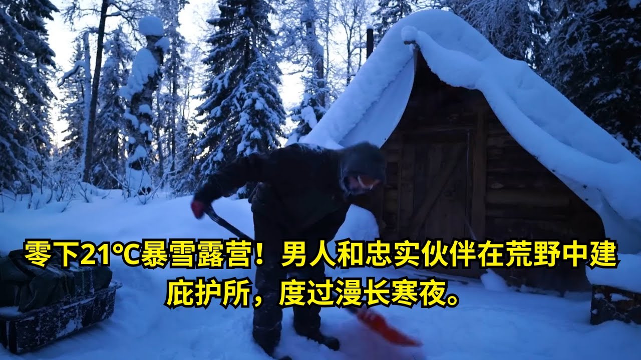 零下21℃暴雪露营！男人和忠实伙伴在荒野中建庇护所，度过漫长寒夜。  | 在野外建造