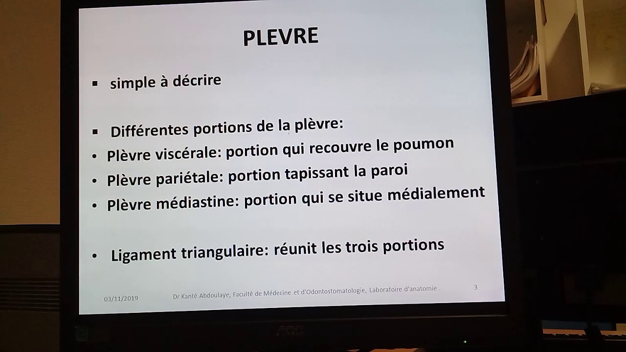 INIATION AU VOCABULAIRE ANATOMIQUE: SEREUSES