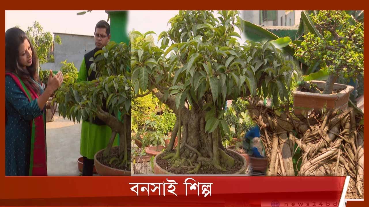 বনসাই শিল্প || আমার কৃষি আমার খামার | Amar Krishi Amar Khamar |  31Dec.21